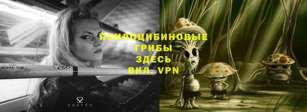 мяу мяу мука Богородицк