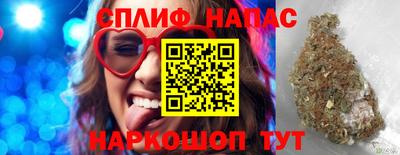дживик Кандалакша