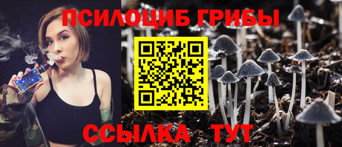 Псилоцибиновые грибы ЛСД  Вход с VPN  Кушва  Псилоцибиновые грибы мухоморы 