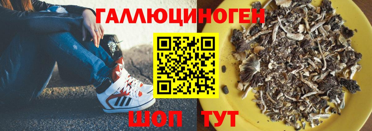 Галлюциногенные грибы мухоморы Кушва
