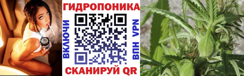 Бошки Шишки план  где купить наркотик  мега как войти  Кушва 