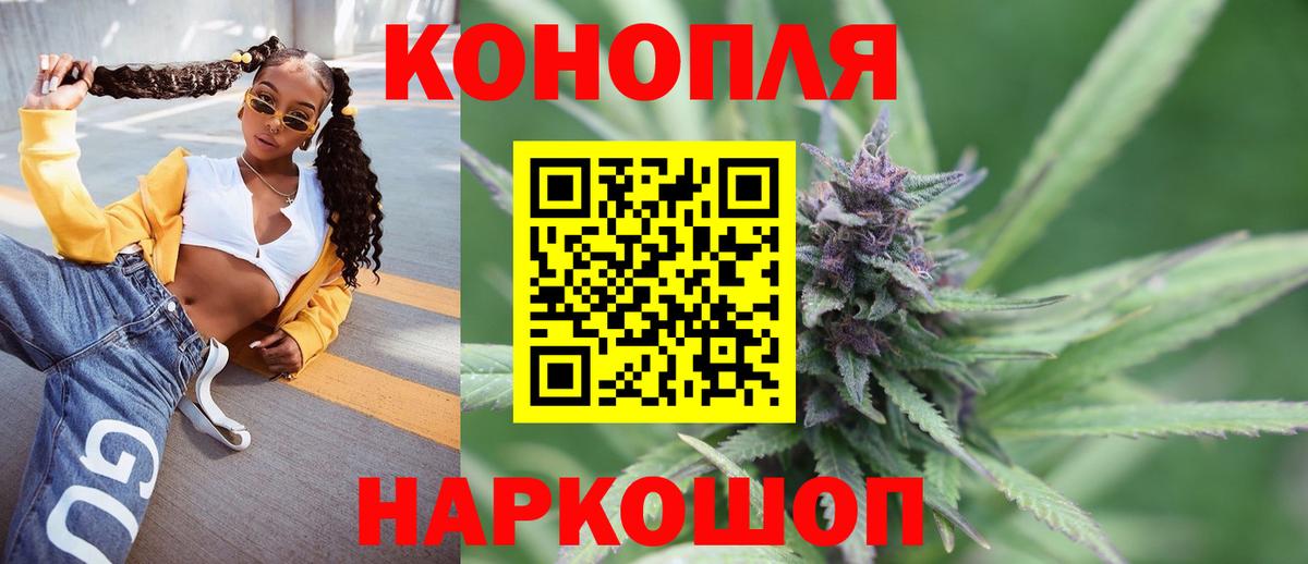 Конопля конопля Кушва